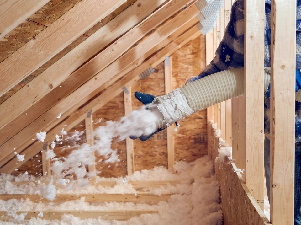 conseil en inspection immobili&egrave;re